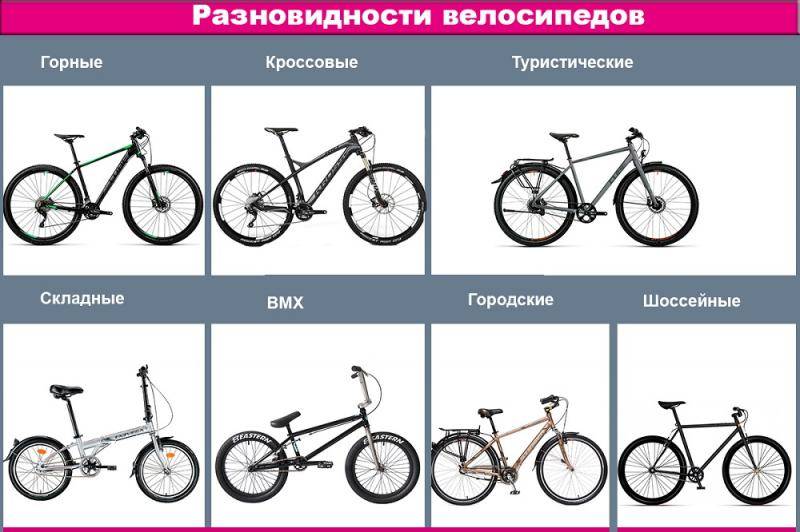 Типы и виды: какие бывают велосипеды