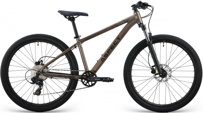 Велосипед RADIUM PRO 29 XL Бежевый (2025)