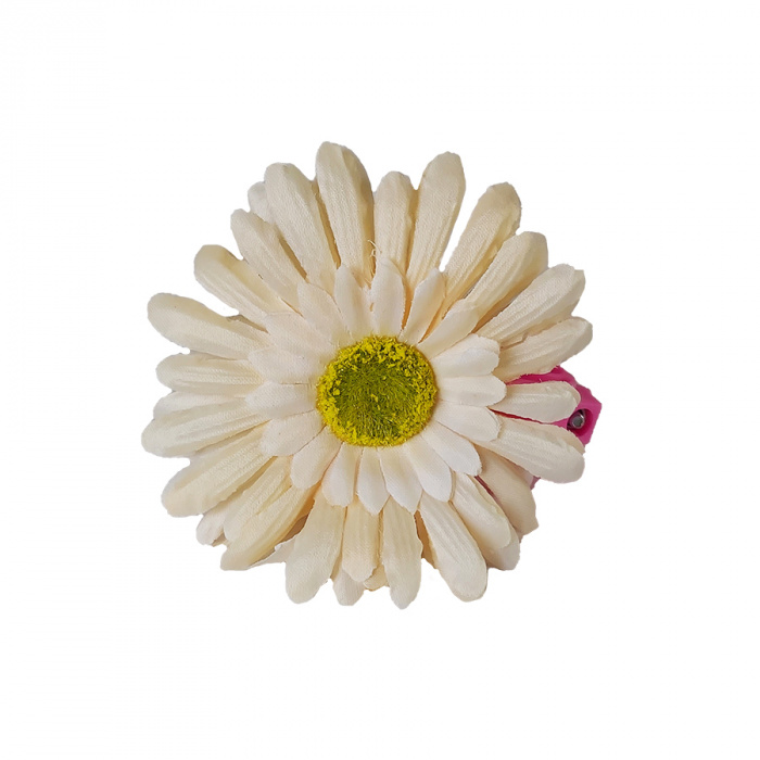 Звонок 24АH/210122