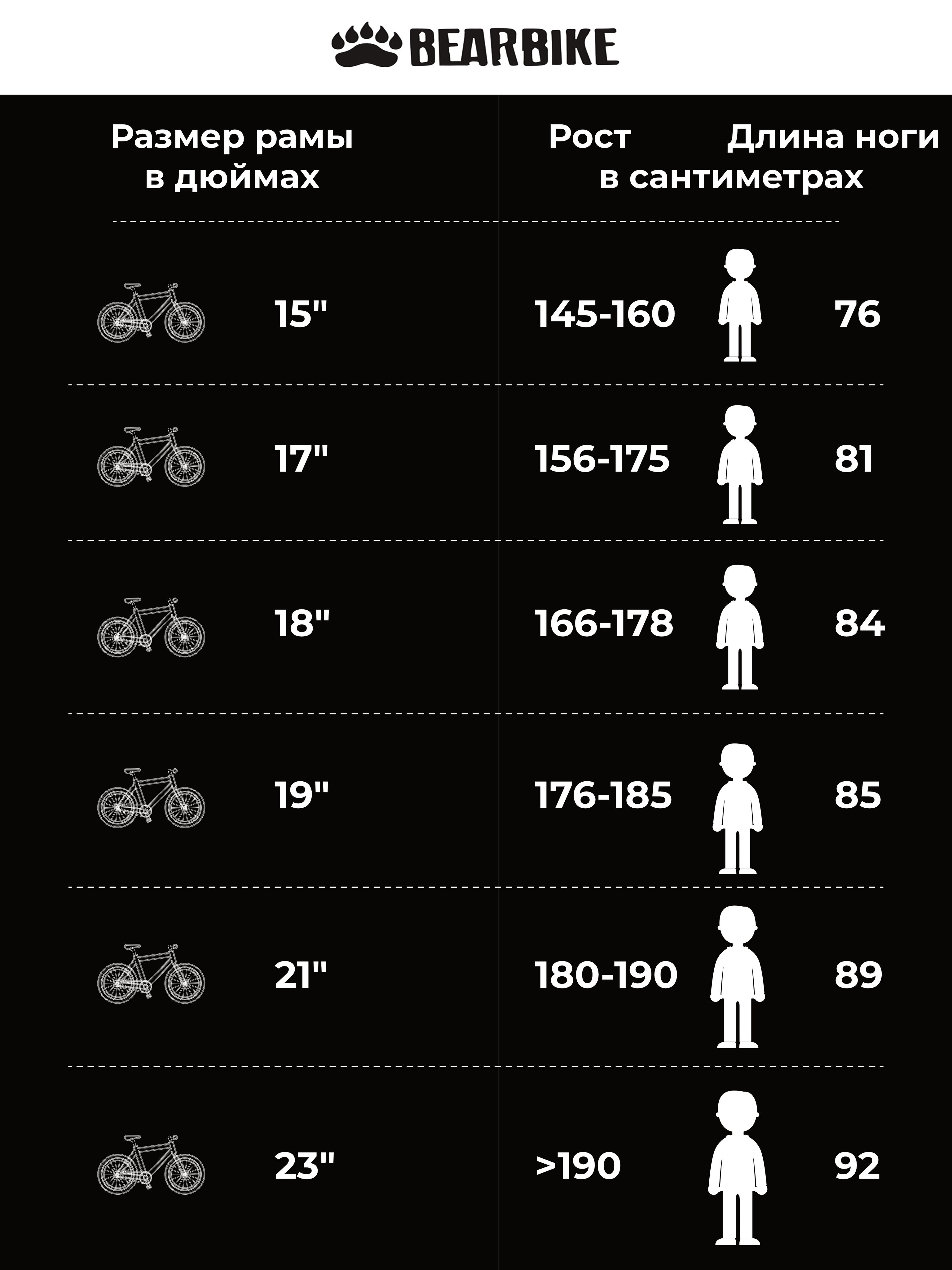 Велосипед BEAR BIKE Пермь 2022